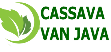 Cassavanjava